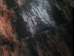 -茉莉餐厅(亳州高新万达广场希夷大道店)