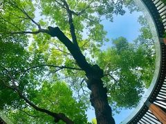 -麗枫酒店(深圳机场福永地铁站店)