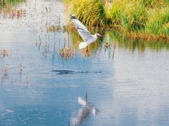 -花湖生态旅游区