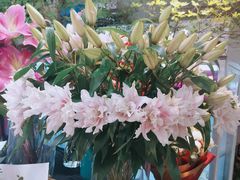 -双季花艺园艺市场(浦东店)