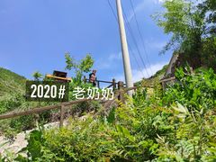-云顶山风景区