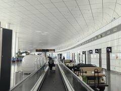 -郑州新郑国际机场-T2航站楼