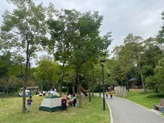 -金山公园