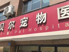 -艾贝尔宠物医院 ·内科全科(梁溪路店)
