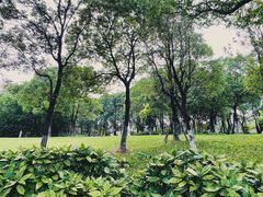 -美兰湖景区