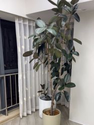 点击看大图 -HEYAN荷妍专业脱毛连锁机构