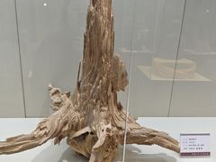 -中国沉香文化博物馆