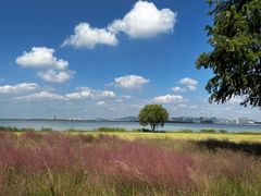 -苏州东太湖生态园