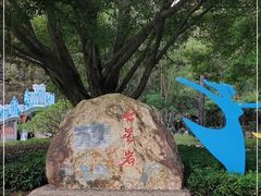 -星湖旅游景区七星岩