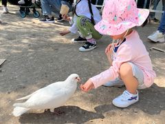 -南通洲际绿博园