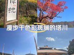 -塔川景区