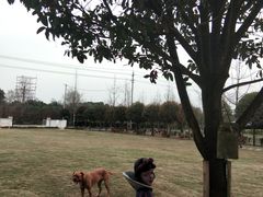 -洪湖家庭农场·团建·露营·会议