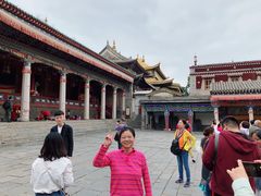 -塔尔寺-菩提树