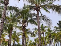-三亚西岛海洋文化旅游区