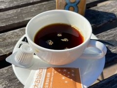 铁毕卡顶级圆豆-YLK云南小粒咖啡·云里咖(二号店)