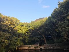 -普陀山风景名胜区-法雨禅寺