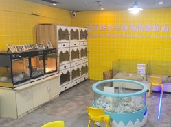 点击看大图 -神奇动物撸宠馆·羊驼·小浣熊·异宠(豫园店)
