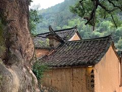 -杨家堂村