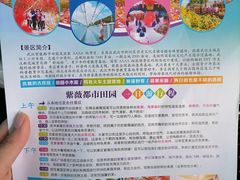 -武汉紫薇都市田园