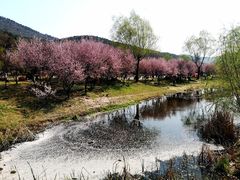 -石塘人家