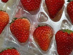 -牛奶便利(东四店)