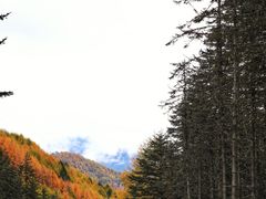-硗碛藏寨·神木垒景区