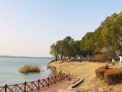 -丁香湖公园