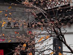 -枫桥景区