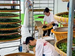 -宁波国际会展中心