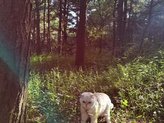 -沈阳辉山风景区