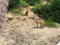 -杭州少年儿童公园
