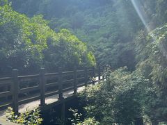 -凤栖山