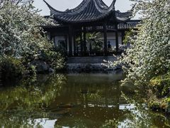-梅园
