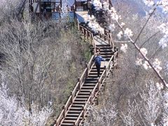 -大岭沟猕猴桃谷风景区