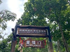 -呀诺达热带雨林