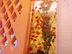 -Acqua海蓝意大利餐厅