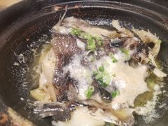 -邹开喜·炭炉鸡煲·海鲜火锅(虹口足球场店)