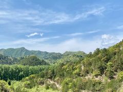 -仙居谷风景区