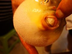 -长顺河豚馆(江洲东路)