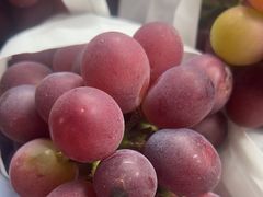 -马陆小张葡萄园农家乐