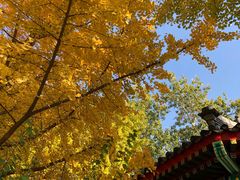 -后海公园