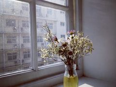 -1907光影俱乐部-电影生活馆