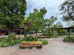 -新加坡飞禽公园