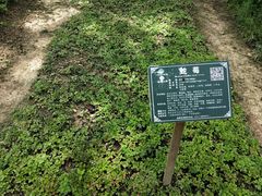 -广西壮族自治区药用植物园