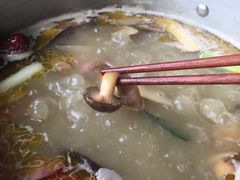 -野菌皇海景野生菌火锅(滨海大道店)