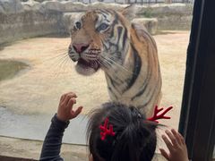 -祥源·阜阳生态乐园