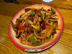 -柴窝堡22号辣子鸡·传承新疆菜