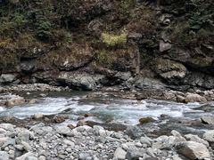 -卧龙中华大熊猫苑神树坪基地