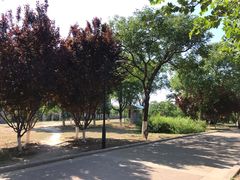 -太阳宫公园