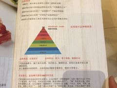 -盐池羊羔肉主题餐厅